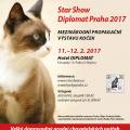 Praha - Výstava koček Star show Diplomat Praha 2017
