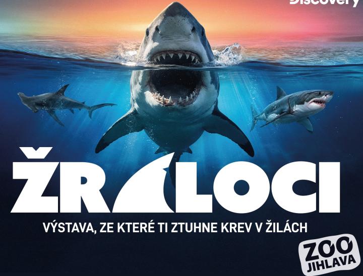 zraloci-web_1.jpg