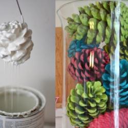 6-pine-cones.jpg