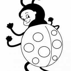 17155340_1635572169792208_6719809185009606963_n.jpg