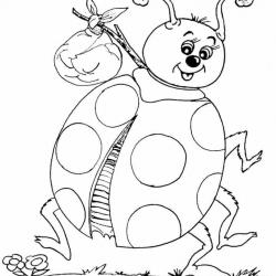 17342881_1635572039792221_7363424636834721331_n.jpg