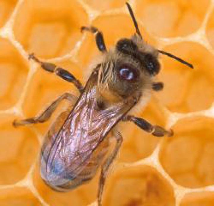 1ccf11cccc_63397682_o2.jpg