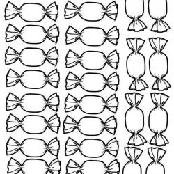 13417635_1116938274995916_8036858952333836679_n.jpg