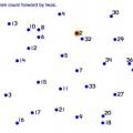 Bude to zvířátko?