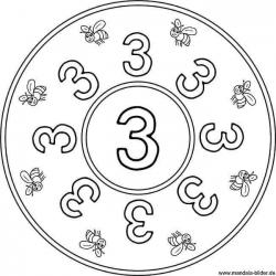 12743849_1263175777031851_1705253140768294621_n.jpg