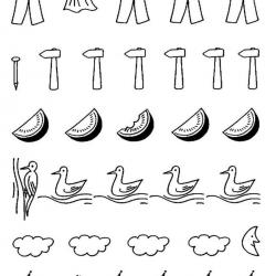14670759_10207127245405007_5228329138395965989_n.jpg