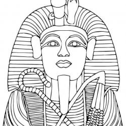 12524199_1246910361991726_4590578313086630432_n.jpg