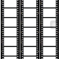 12522954_1240790949270334_516902736601320729_n.jpg