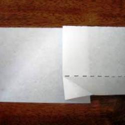 penize5.jpg