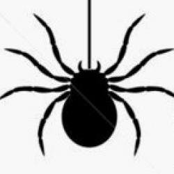 silhouettes-of-animals-arthropods-spider-crab-beetle-triops-ant_107673200.jpg