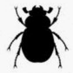 silhouettes-of-animals-arthropods-spider-crab-beetlme-triops-ant_107673200.jpg