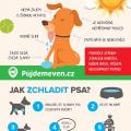 Jak zchladit psa