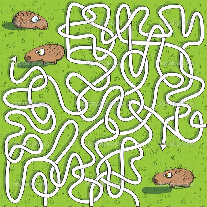 depositphotos_22466363-Hedgehogs-maze-game.jpg
