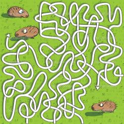 depositphotos_22466363-Hedgehogs-maze-game.jpg