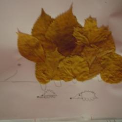 DSCN0643 1.jpg