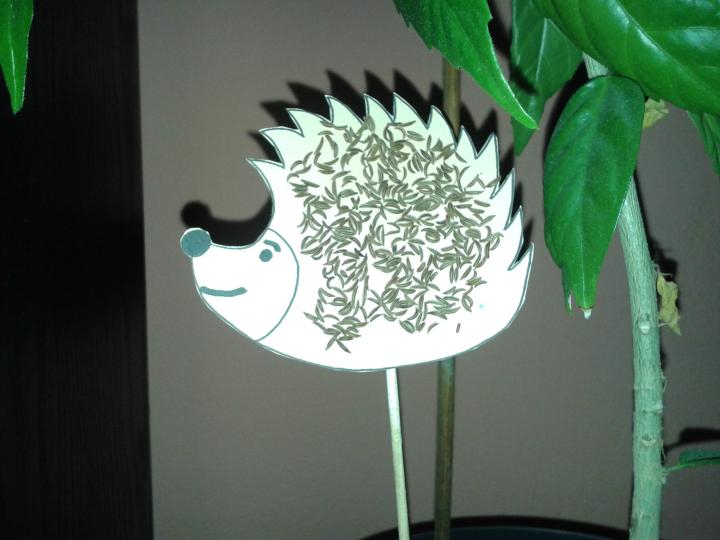 20160210_111129.jpg