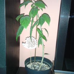 20160210_111200.jpg