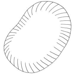 12037946_307378409386282_2077794711456613490_n.jpg