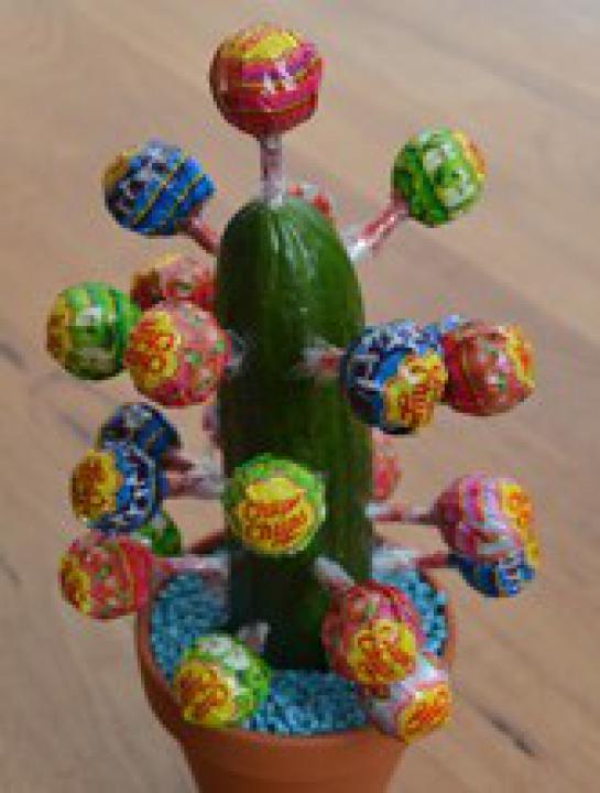 snoep-cactus.jpg