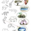 Kde bydlí africká zvířata?