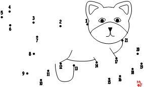 PetCatDotoDot1-21.jpg