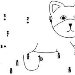 PetCatDotoDot1-21.jpg