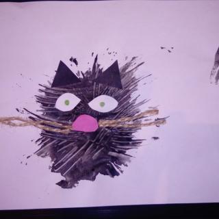 Černá kočka.JPG