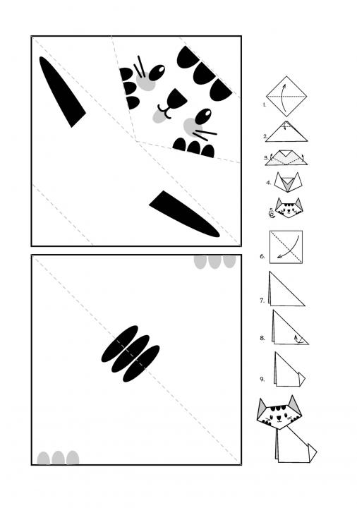 kočka.jpg