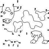 CowDottoDot-1-33.jpg