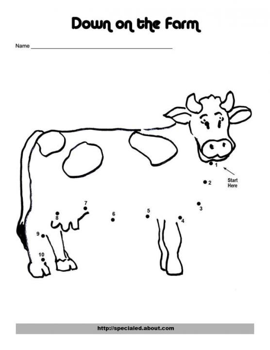 cow-to10.jpg