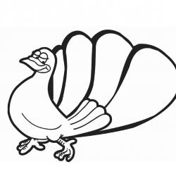 krocan.jpg