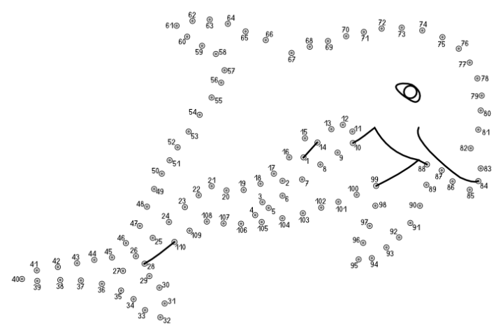 spojovacka_delfin.png