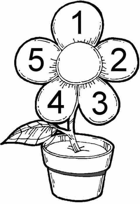 17352467_1639705269378898_6471087443260739362_n.jpg