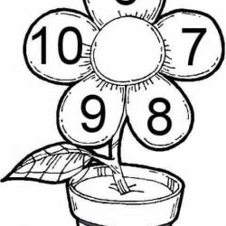 17361805_1639705242712234_6276780945259931693_n.jpg