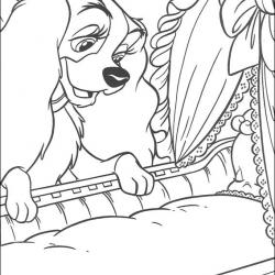 lady_tramp_22.jpg