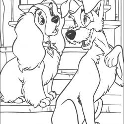 lady_tramp_23.jpg