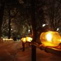 Ledové lampy