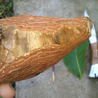 20190729_125949.jpg