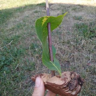 20190729_130229.jpg