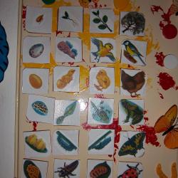 100_3041.JPG