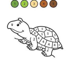15078879_631657793670859_5427818440860940089_n.jpg