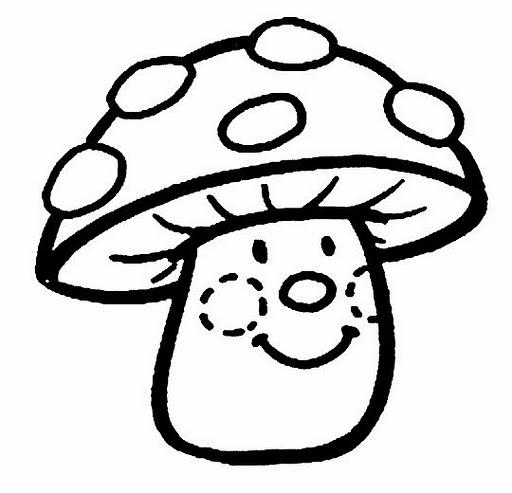 13394153_1350402444975850_3024041000585132472_n.jpg