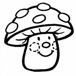 13394153_1350402444975850_3024041000585132472_n.jpg