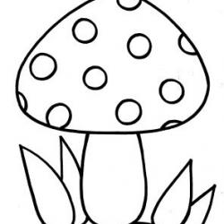 13413006_1116936244996119_9027753654901025722_n.jpg