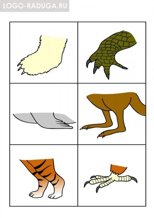 12764590_1959035660988954_5070411906505109294_o.jpg