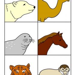 12795246_1959035650988955_8288216279303257373_o.jpg