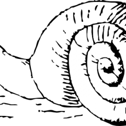 snek.png