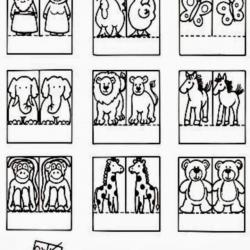 16708575_1603584456324313_5960423804152115533_n.jpg