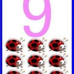 12299159_1665123457092886_6771123824764670283_n.jpg