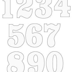 12662465_1257054427643986_4950327629339255336_n.jpg
